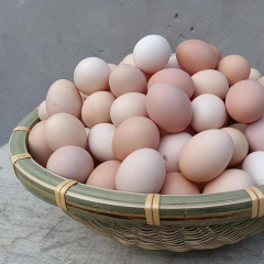 苋菜散养柴鸡蛋(仅限现场提货)