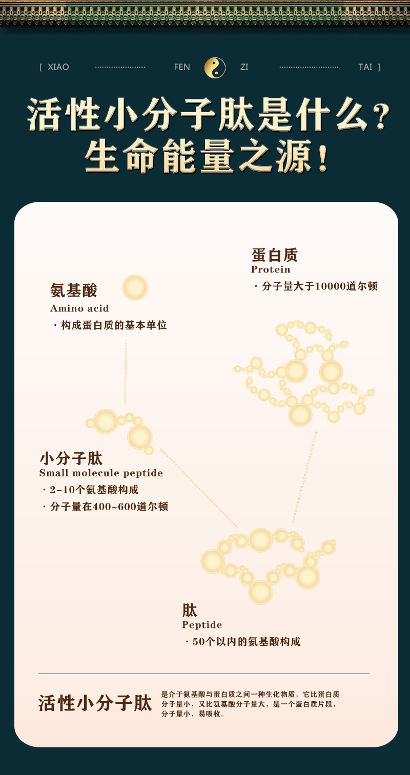 小分子肽详情页_03.png