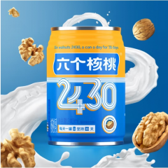 六个核桃 2430核桃乳240ml*15罐