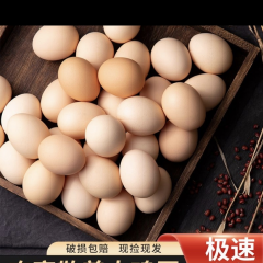 正宗散养精品土鸡蛋20枚/单枚50 g大个鸡蛋破损包赔柴鸡蛋M