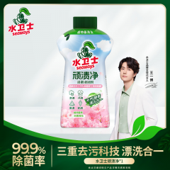 水卫士顽渍净（活氧泡泡粉）900g