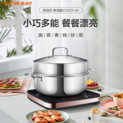 苏泊尔电磁炉套装微晶面板一键爆炒智能定时C21-IC20 规格=C21-IC20