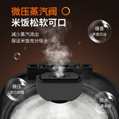 九阳电饭煲电饭锅煮饭锅3L多功能迷你F30FZ-F636 规格=F30FZ-F636